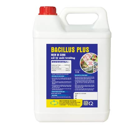 BACILLUS PLUS xử lý môi trường