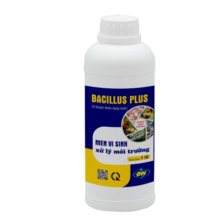 BACILLUS PLUS xử lý môi trường