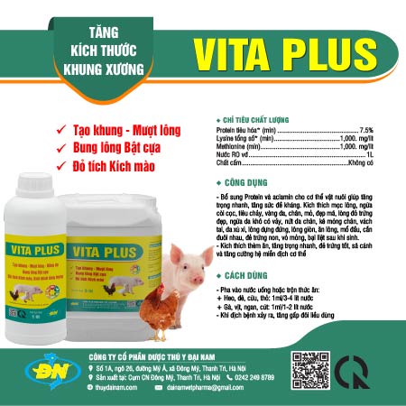 VITA PLUS – Tạo khung, tăng trọng, đẹp mã