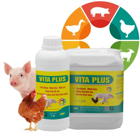 VITA PLUS – Tạo khung, tăng trọng, đẹp mã