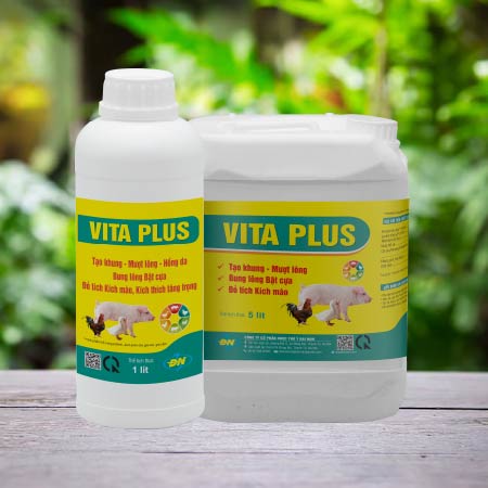 3VITA PLUS VITA PLUS – Tạo khung, tăng trọng, đẹp mã