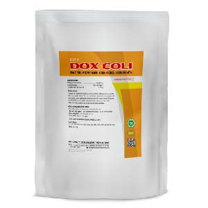 ĐẶC TRỊ VIÊM PHỔI, CRD, CCRD, HEN SUYỄN