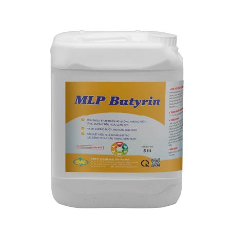 MLP BUTYRIN - TÁI TẠO LÔNG NHUNG ĐƯỜNG RUỘT