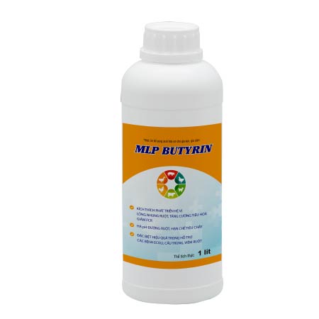 MLP BUTYRIN - TÁI TẠO LÔNG NHUNG ĐƯỜNG RUỘT