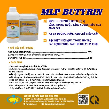 MLP BUTYRIN - TÁI TẠO LÔNG NHUNG ĐƯỜNG RUỘT