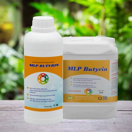 MLP BUTYRIN - TÁI TẠO LÔNG NHUNG ĐƯỜNG RUỘT
